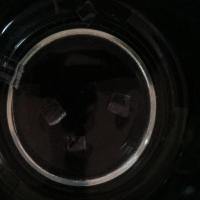Microplastic coy project thumbnail