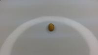 Seed AAA project thumbnail