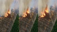 Forest Fires project thumbnail