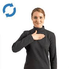 sign-language-detector Object Detection Model by LipiJain