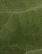 cotton project thumbnail