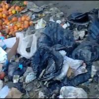 Waste project thumbnail