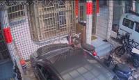 Custom Workflow Object Detection project thumbnail