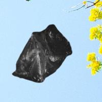 Plastic Paper Bag Dataset project thumbnail