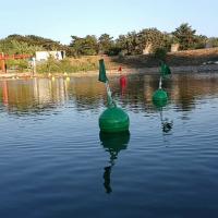 newdataset project thumbnail