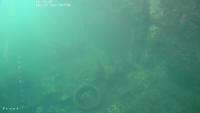 Underwater object detection 2 project thumbnail