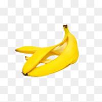 banana project thumbnail