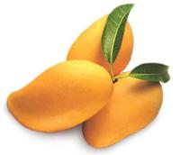 fruit-detection project thumbnail