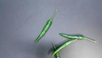 chili detection project thumbnail