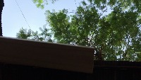 Wood segmentation lightspeed project thumbnail