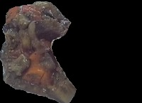 food project thumbnail