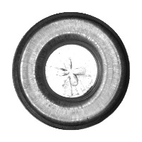 rivet6 project thumbnail