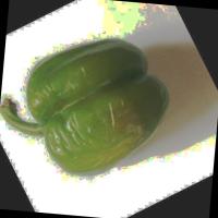 vegetable project thumbnail