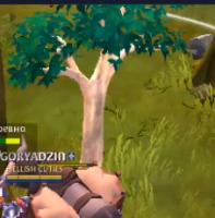 tree-detection project thumbnail