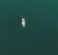 kaggle-ships-in-google-earth project thumbnail