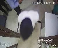 Dataset Image