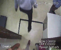 Dataset Image