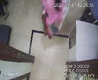 Dataset Image