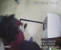 Dataset Image