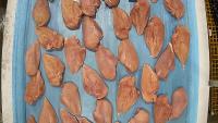 chicken detection project thumbnail