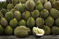 fruit-detection project thumbnail