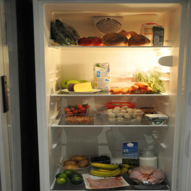 reg Object Detection Dataset by project-nii02