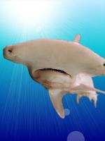 Hammerhead project thumbnail