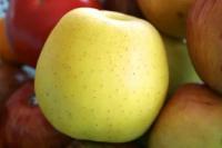 fruits project thumbnail