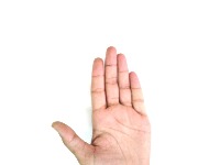 Palm lines recognition project thumbnail