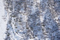 moose project thumbnail