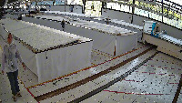 person-in-cutting-3 project thumbnail