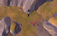 Dataset Image