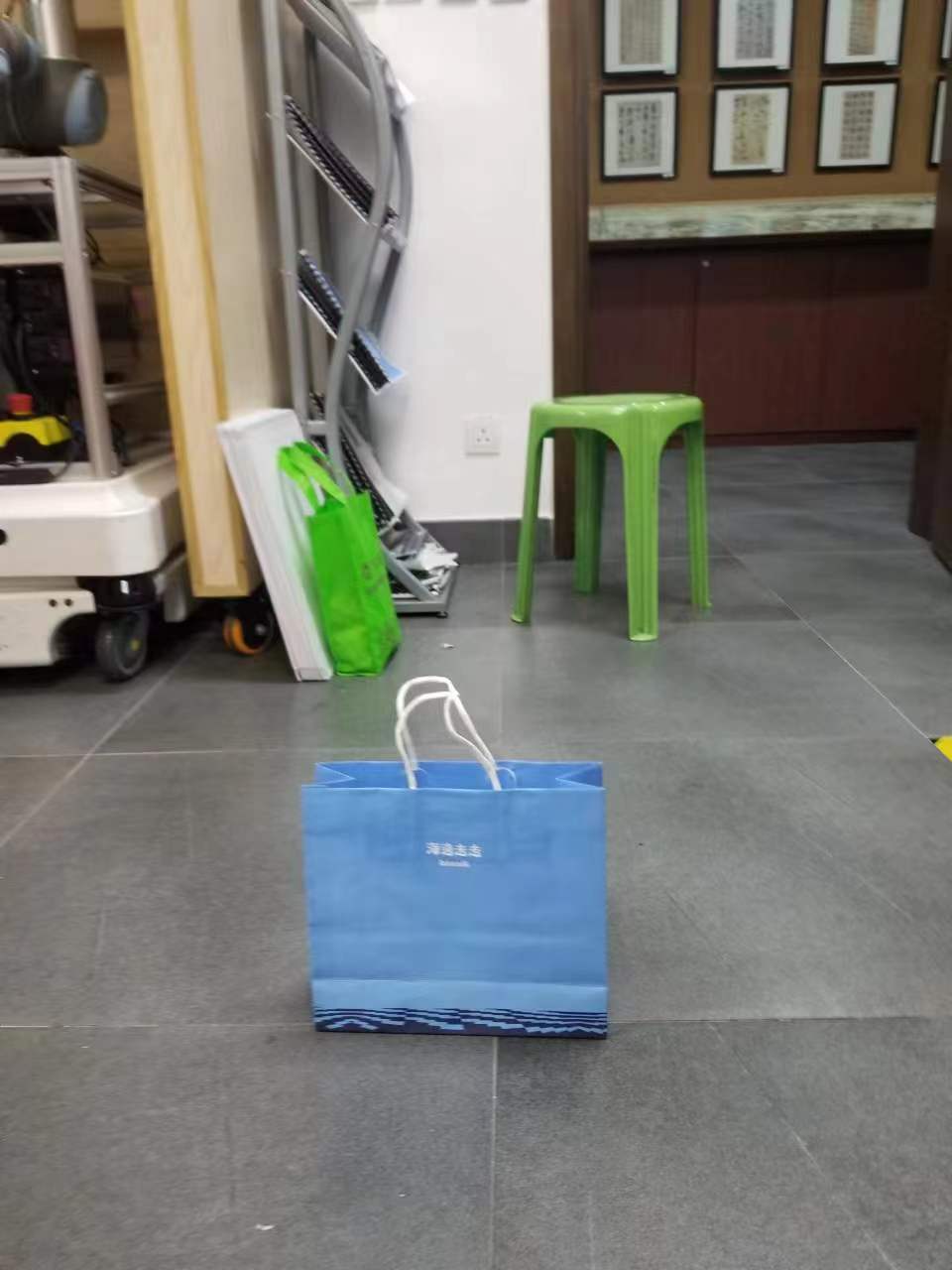 Bag Object Detection Model by csl
