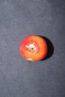 Cherry Disease Dataset(Original) project thumbnail