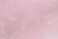 Wollastonite_test1_od project thumbnail