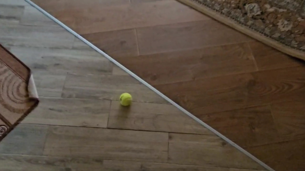 Tennis ball detection Object Detection Model by Test
