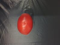 machine_vision_buah project thumbnail