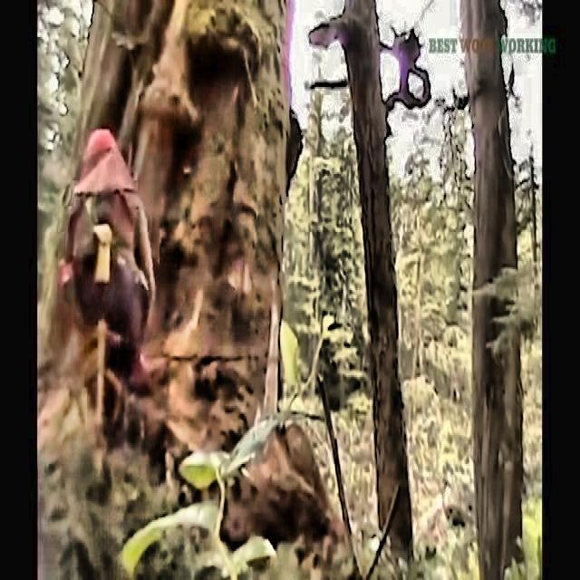 deforestation-detection Object Detection Model by robotic ai