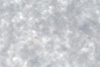 My First Project project thumbnail