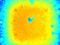 Person project thumbnail