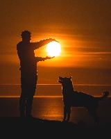 Human and Animal project thumbnail