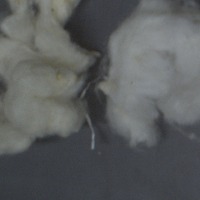 impurity333 project thumbnail