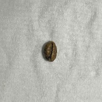 coffee-bean-defect project thumbnail