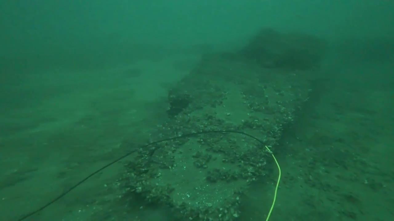 underwater obstacle detection Object Detection Model by vahidalizada