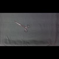 0313 project thumbnail