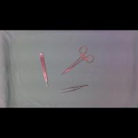 0227 project thumbnail