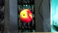 Apple Detection project thumbnail
