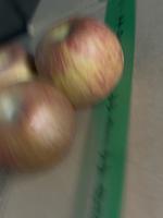 apple project thumbnail
