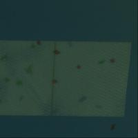 FOD_Patch project thumbnail