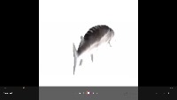 rat project thumbnail